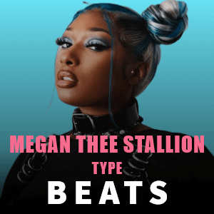 Megan Thee Stallion type beat